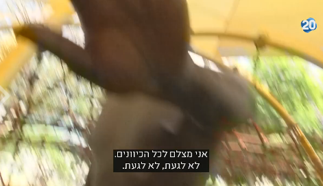צפו: צלם ערוץ 20 הותקף באלימות על ידי מסתננים