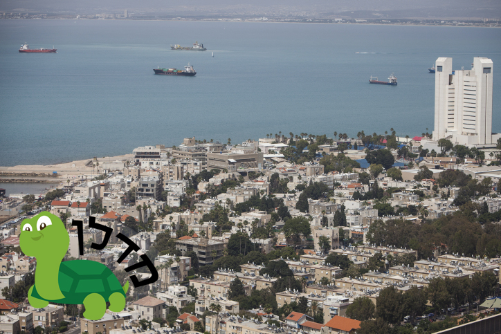 הכר את השכונה הסרוגה – נווה שאנן בחיפה