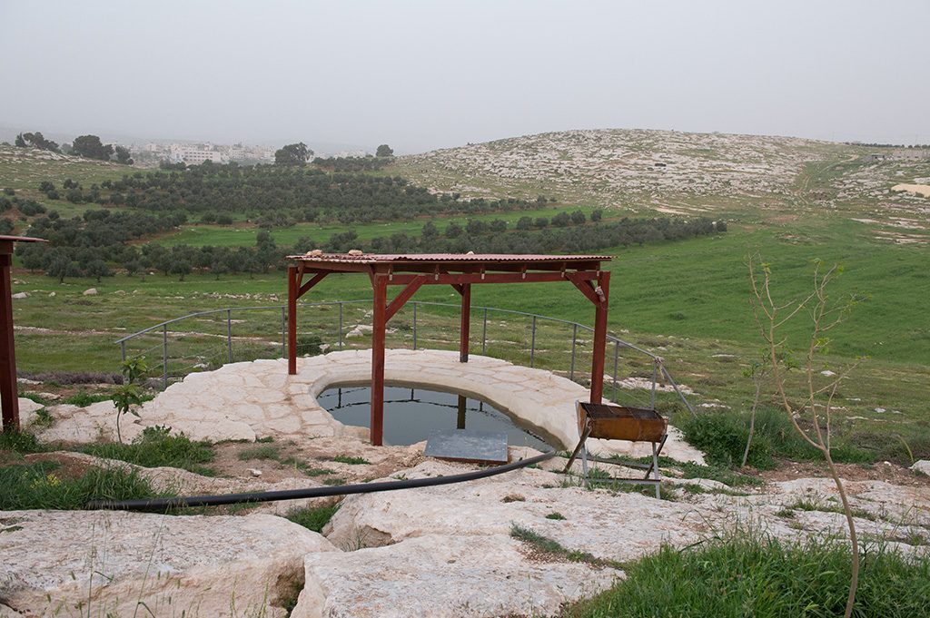 DSC_9395 (1)