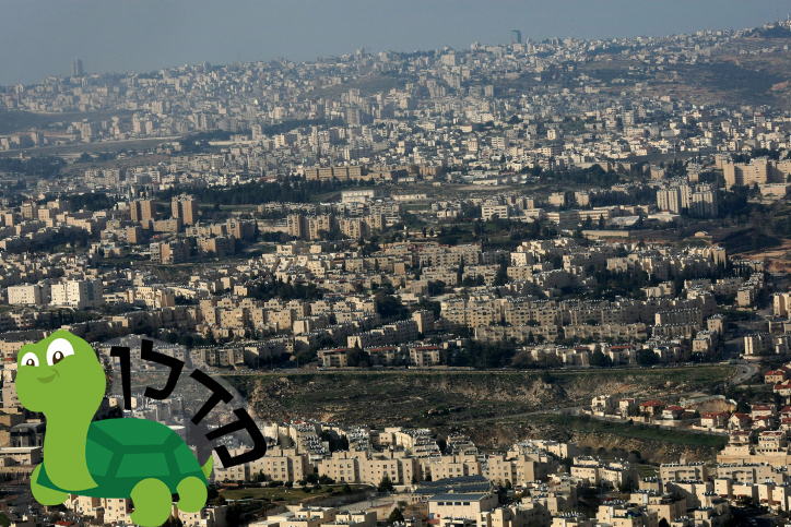 השכונות המבוקשות ביותר לשנת תשע"ו