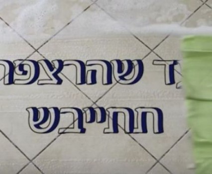 "עד שהרצפה תתייבש": 2 דקות על פרשת 'נח'
