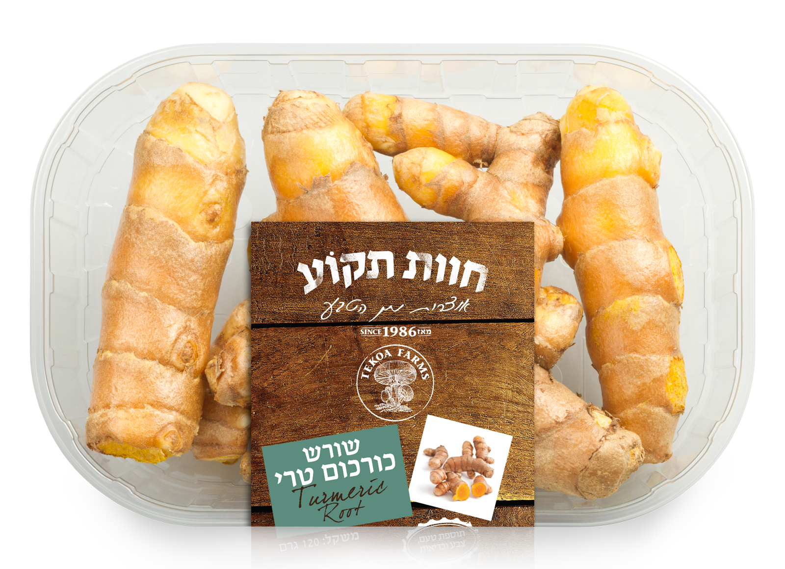 חדש: שורש כורכום טרי ובריא – בטעם עשיר שמשדרג כל תבשיל