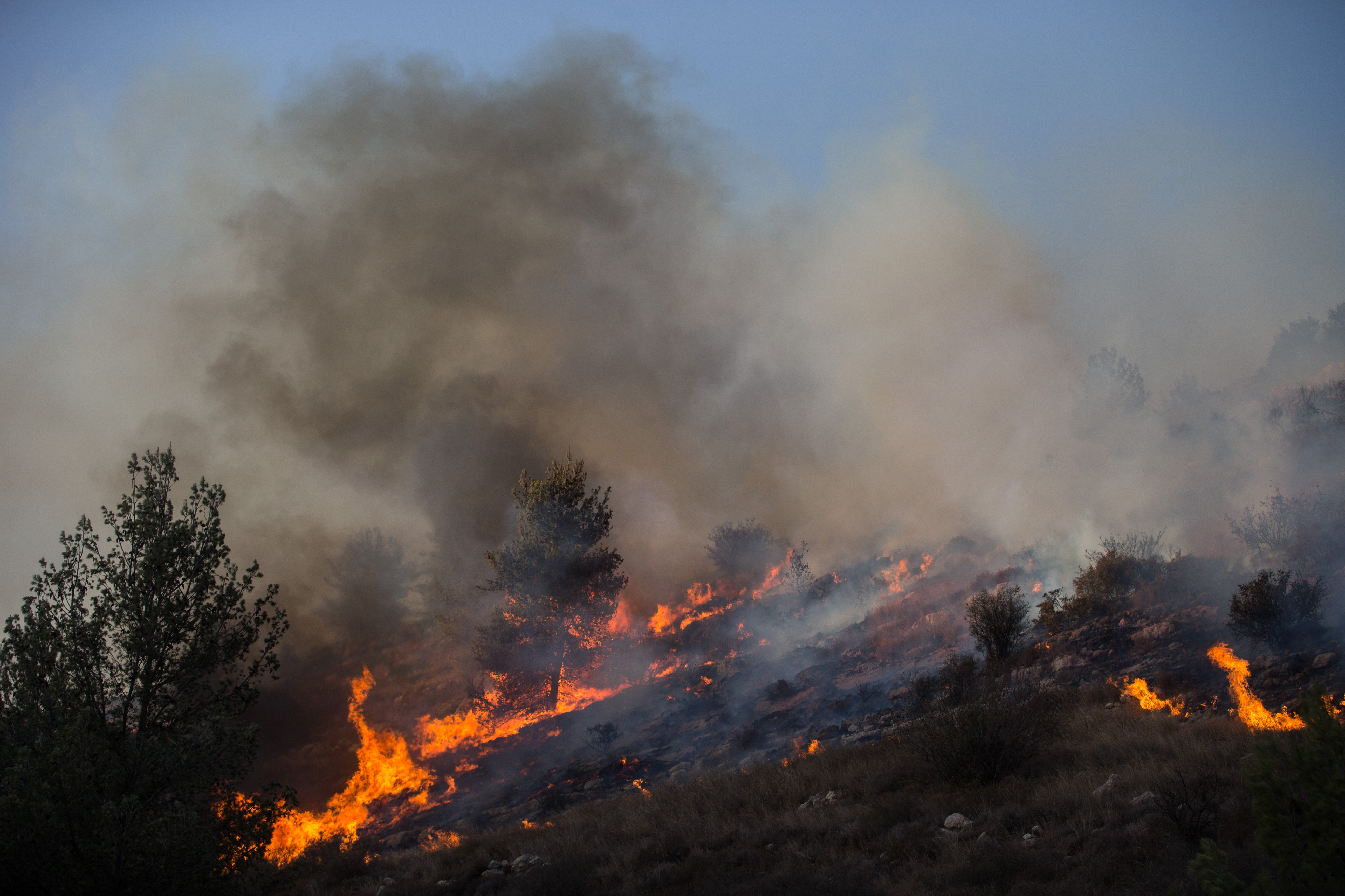 בשל גל השריפות: אזהרה חמורה לתושבי ישראל