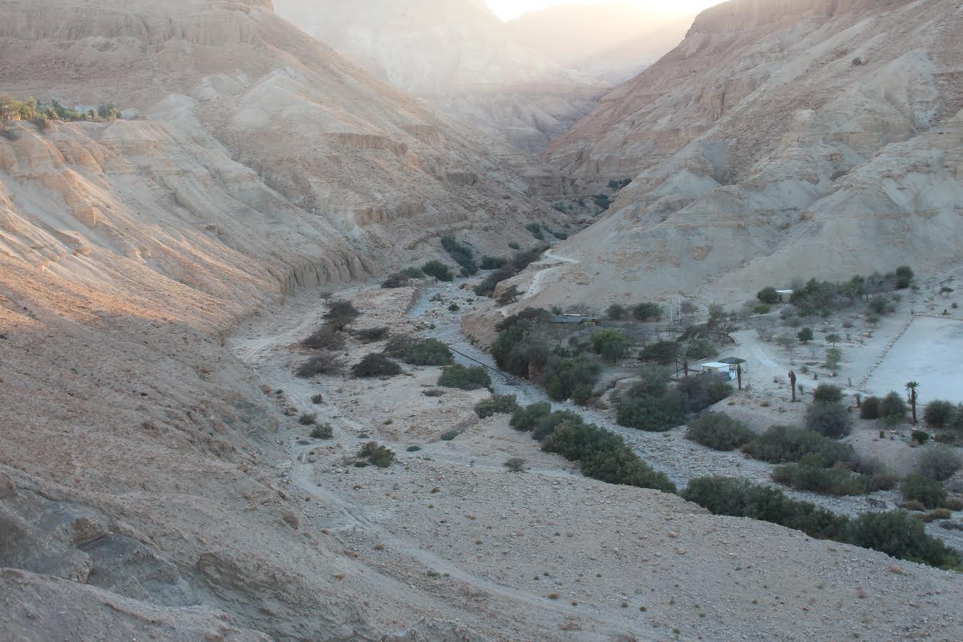 תלמידים ערבים יידו אבנים על תלמידים יהודים