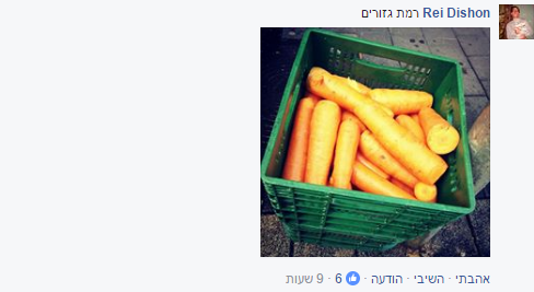 שמאלנים הטרילו אותנו: מתקפת שמות לישוב החדש