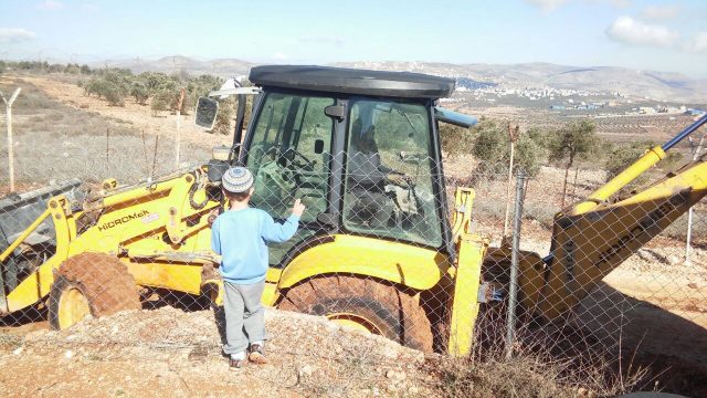 מגדלים – הזדמנות נדירה למשפחות צעירות