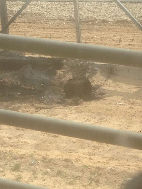 כמעט פיגוע בעזה: כח צה"ל ניטרל מטענים על הגדר