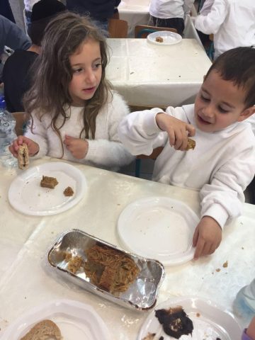 גם גני הילדים חוגגים בשבוע החמ"ד: צפו בתמונות