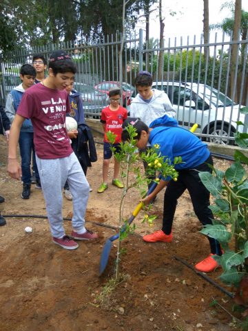 יום קיבוץ גלויות בחמ"ד: צפו בגלריית התמונות