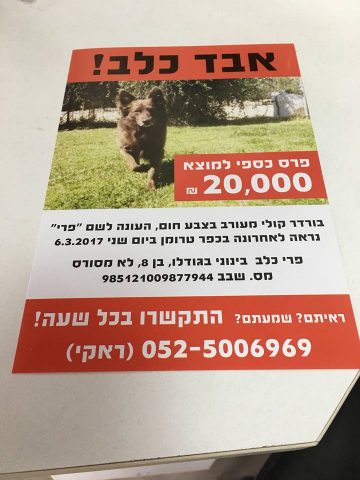 הפיצה יותר מ150 אלף מודעות (צילום מסך מתוך פייסבוק)