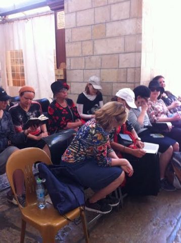 מניו יורק לארץ התנ"ך של הרצוג