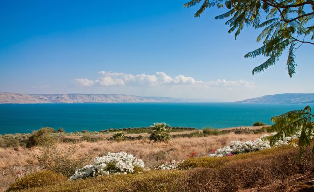 רק חצי שעה מהכינרת. כרמי אור הגנוז. אילוסטרציה.