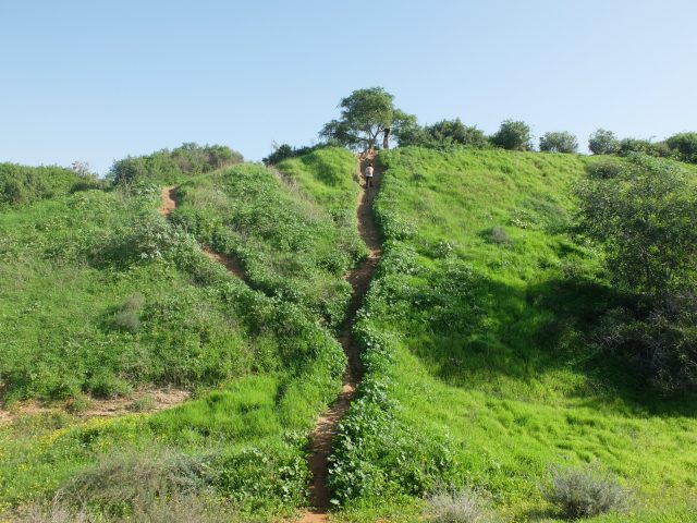 הפתעות בלב הארץ ליד תל אביב. מערות אפקה