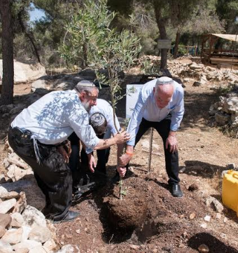 "3 המשפחות הכי אצילות הצליחו לאחד את כל העם"