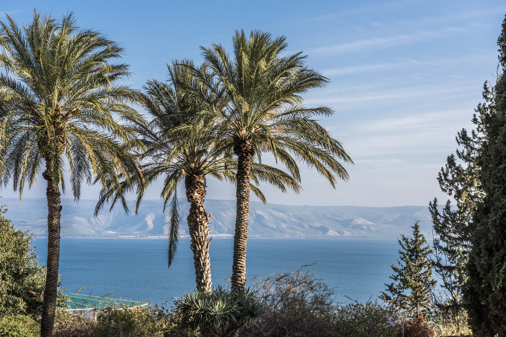 החופשה המושלמת למשפחה על גדות הכנרת