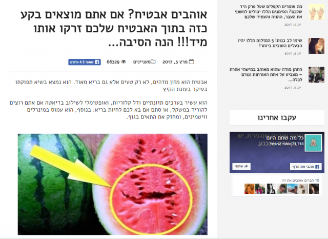 ידיעה שפורסמה באתר ישראלי (צילום מסך מתוך spaly.net)