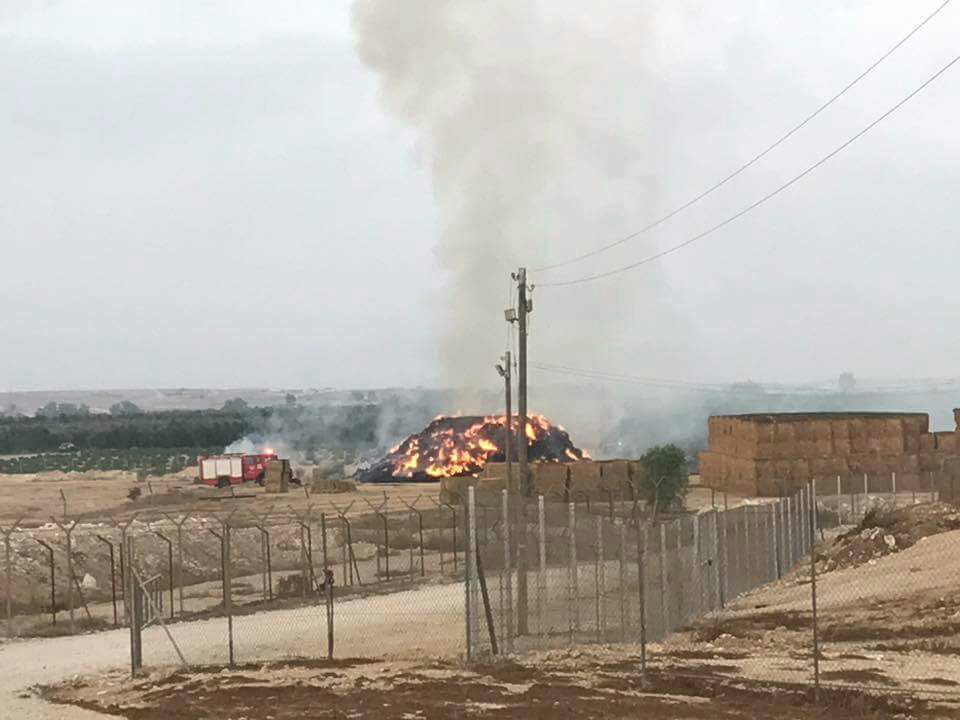 חוסר השליטה גם בדרום: תג מחיר בדואי ברביבים