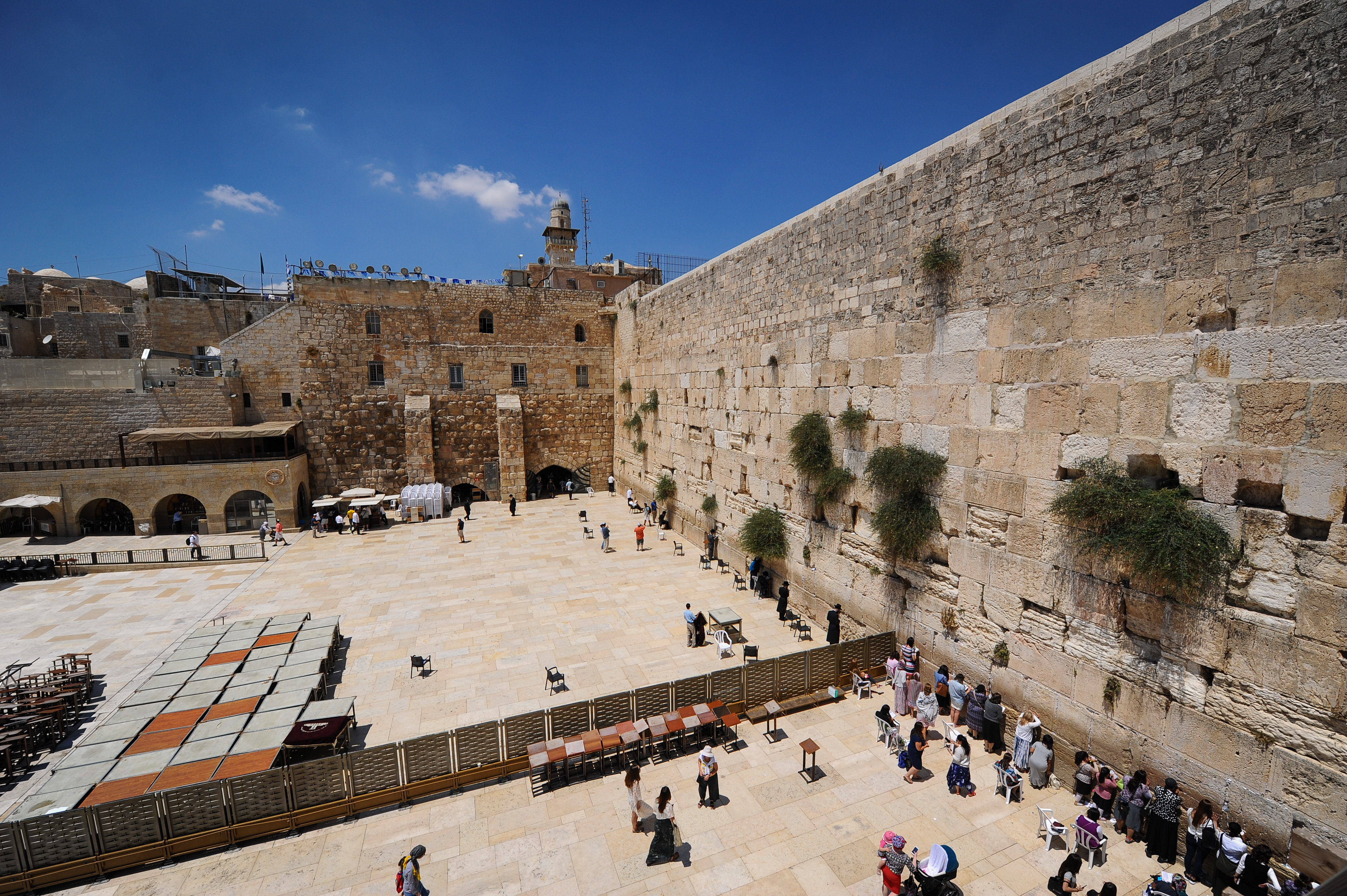 צפו באיכות HD: משדר מיוחד לתשעה באב
