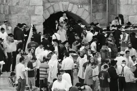 מיוחד: גלריה מרהיבה מעליית היהודים להר הבית ב-ט' באב