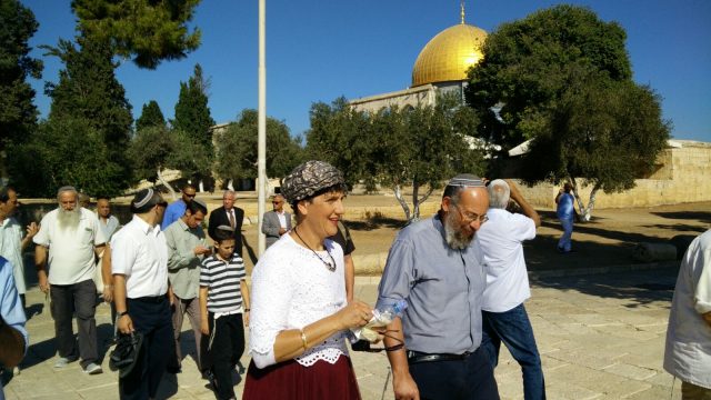 ח"כ מועלם מוקדם יותר הבוקר בהר הבית