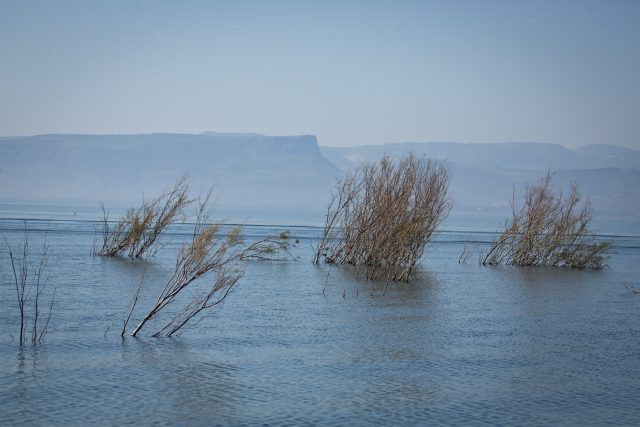 כנרת. אילוסטרציה