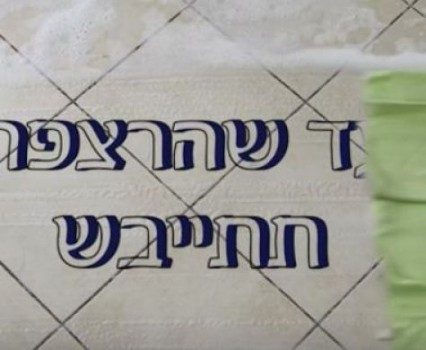עד שהרצפה תתייבש: צפו: שתי דקות לפרשת כי תבוא