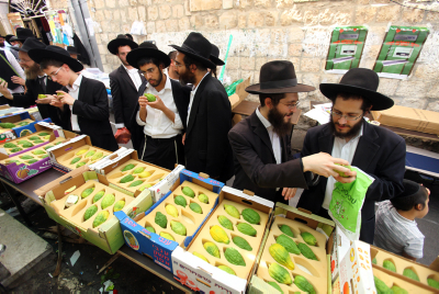 ושלא יעבדו עליכם:הלקסיקון המלא לשוק ארבעת המינים