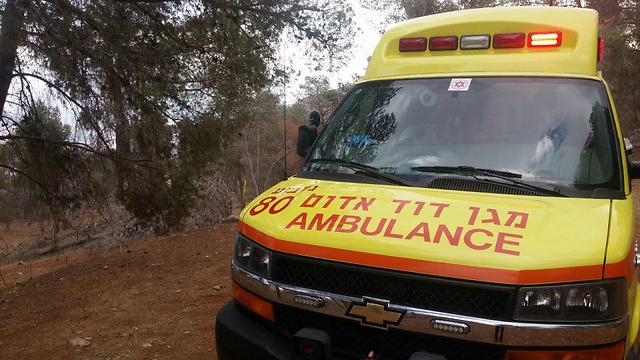 יום תרומת הדם: העיר המובילה, ומי תורם יותר | הנתונים המלאים