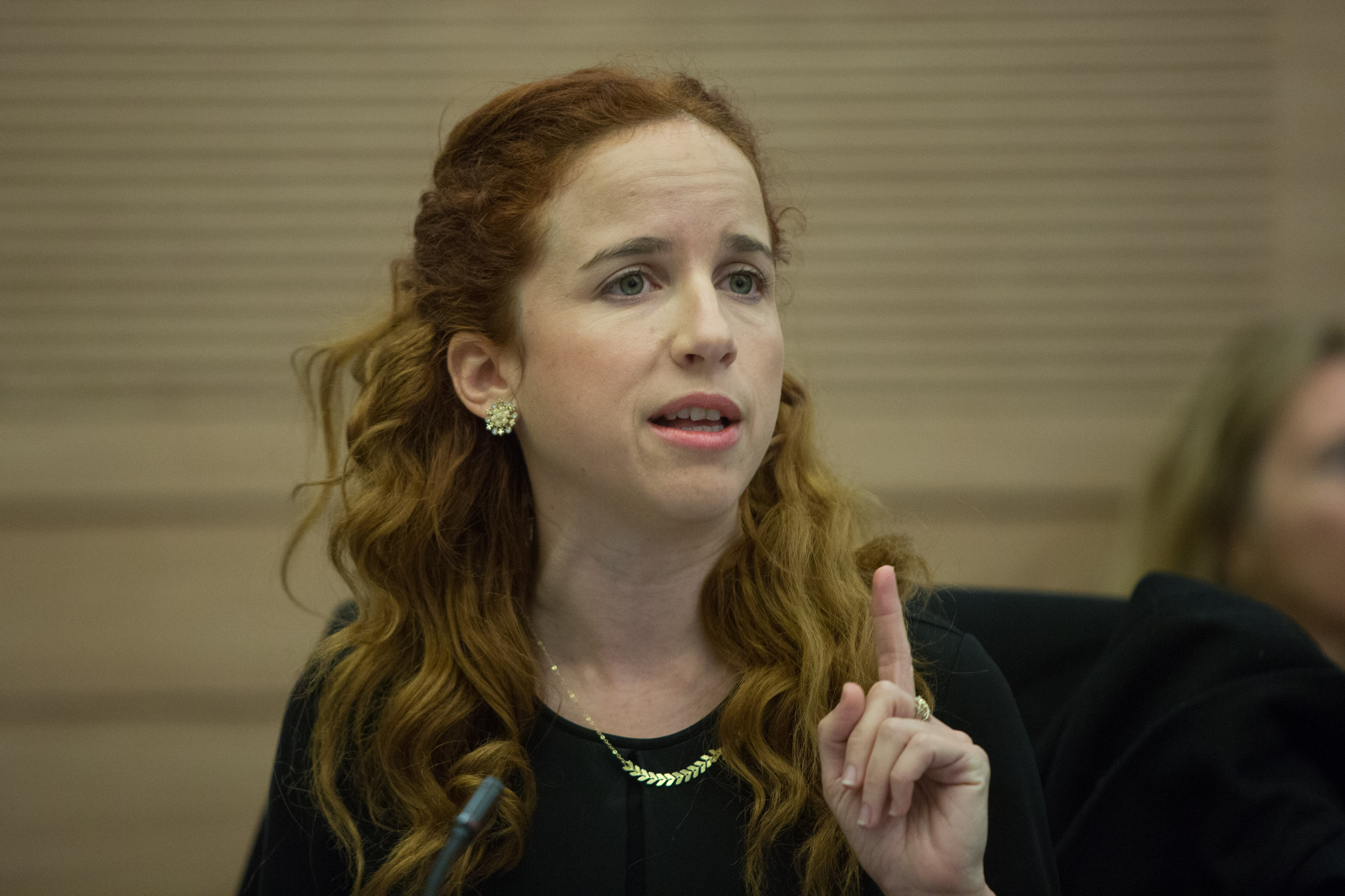 הח"כיות קראו: "סרסור", "מושחת" וקבלו עונש חמור