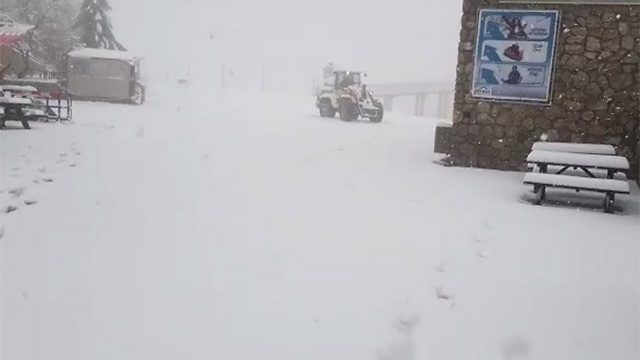 גנרל חורף הגיע: גשמים, רוחות ושלג בכל הארץ