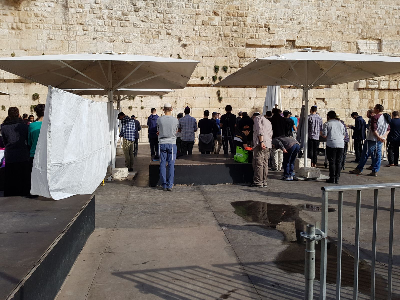 לפני בג"צ: עשרות התפללו בהפרדה ב'כותל הרפורמי'
