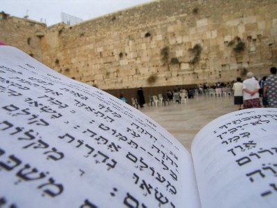 אומרים תהילים לרפואת השוטר שנפצע ע"י חברו