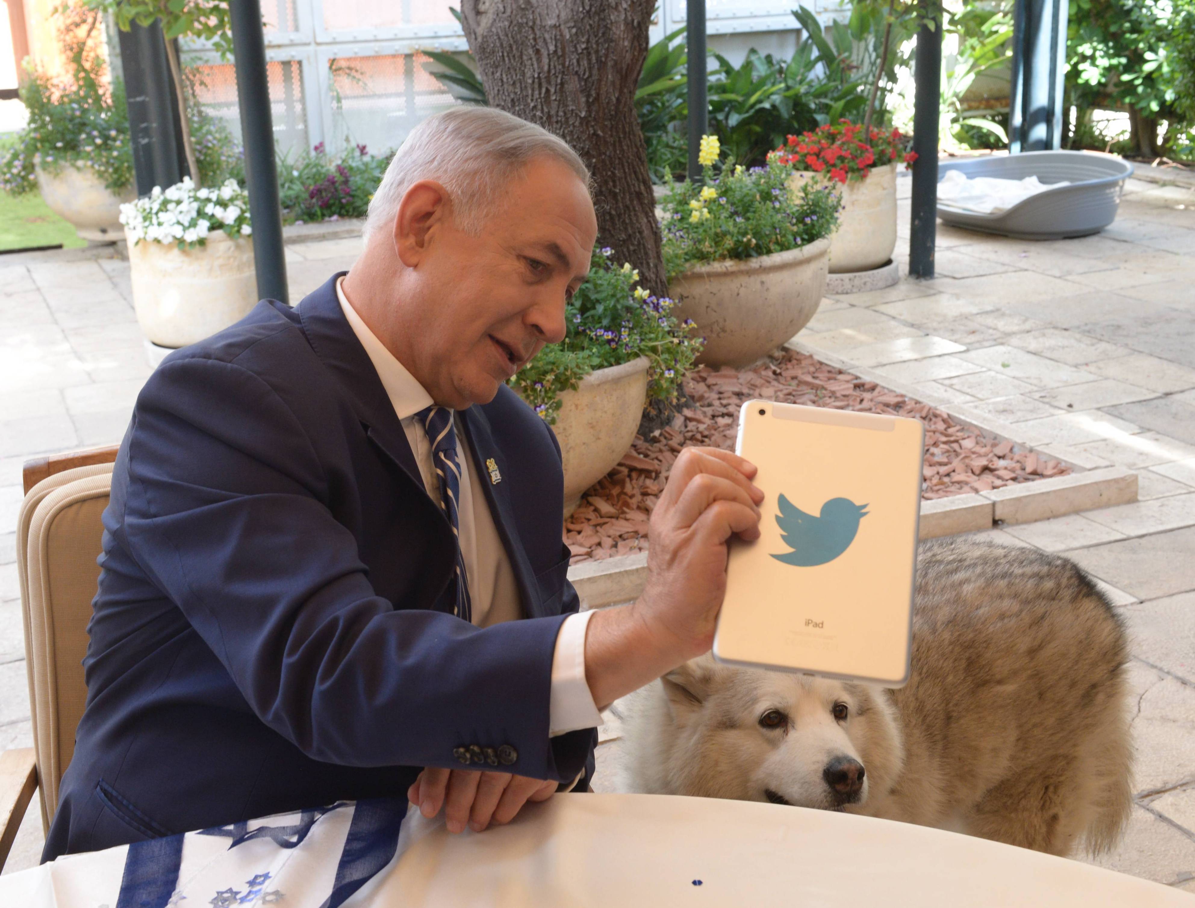 קאיה הכלבה של משפחת נתניהו, הלכה לעולמה