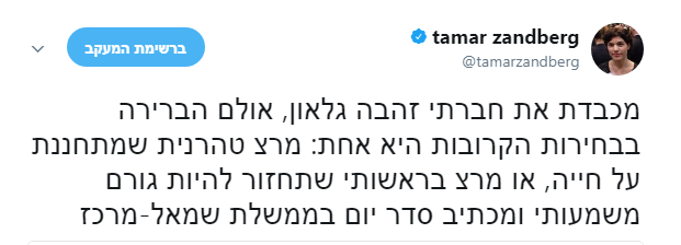 'שפת ביוב': עימות חריף בין גלאון לזנדברג