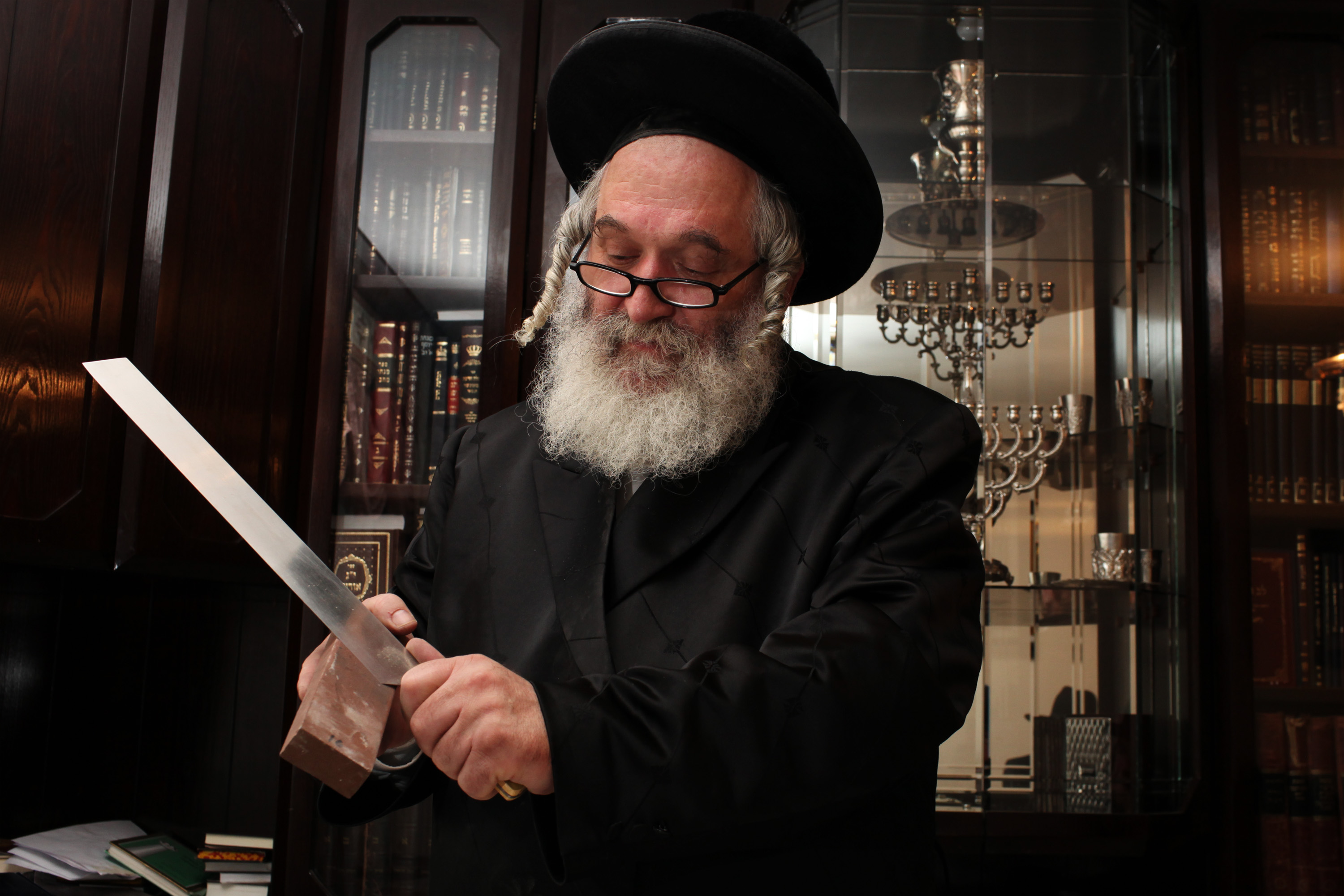 אחרי חוק השואה, הצעת חוק לאסור שחיטה בפולין