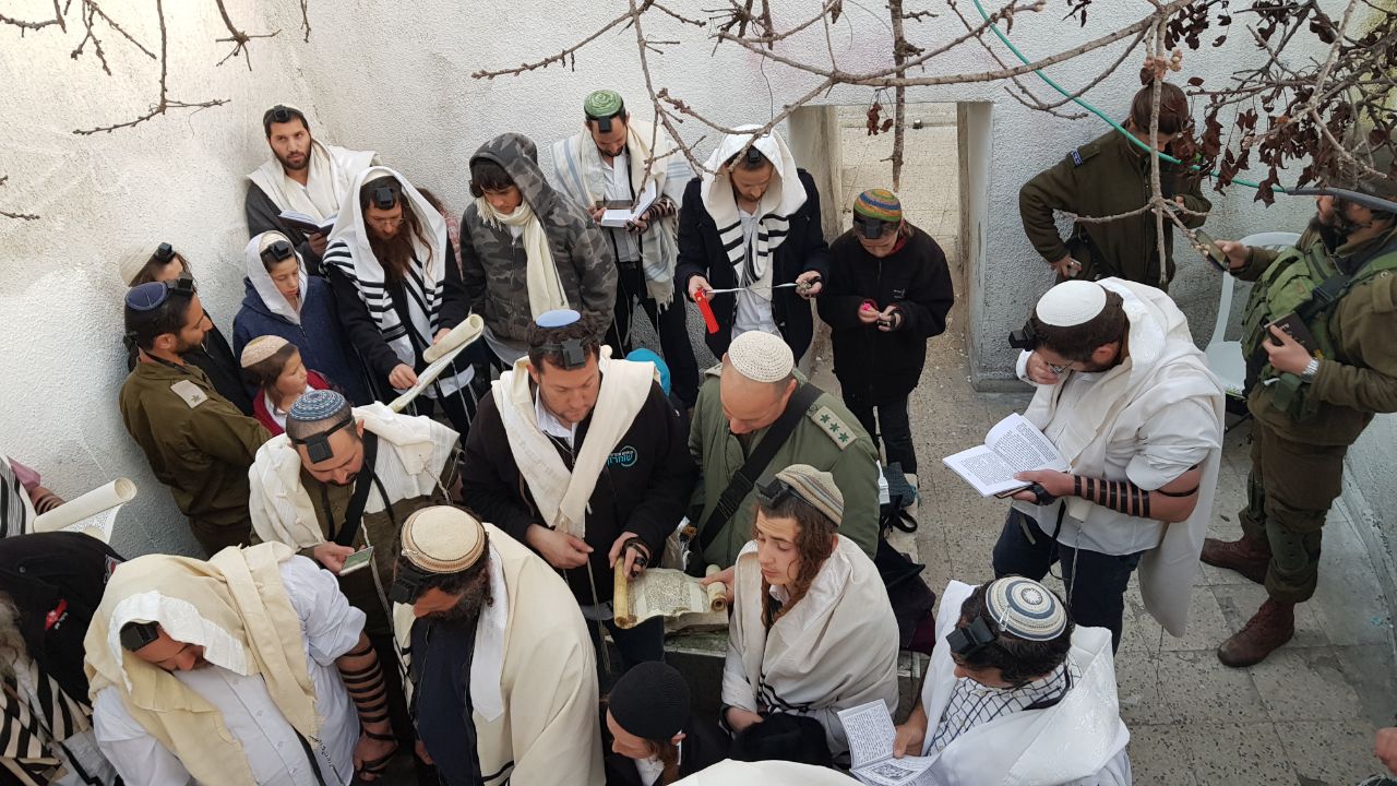 בקבר יהושע בן נון: עשרות קראו מגילת אסתר
