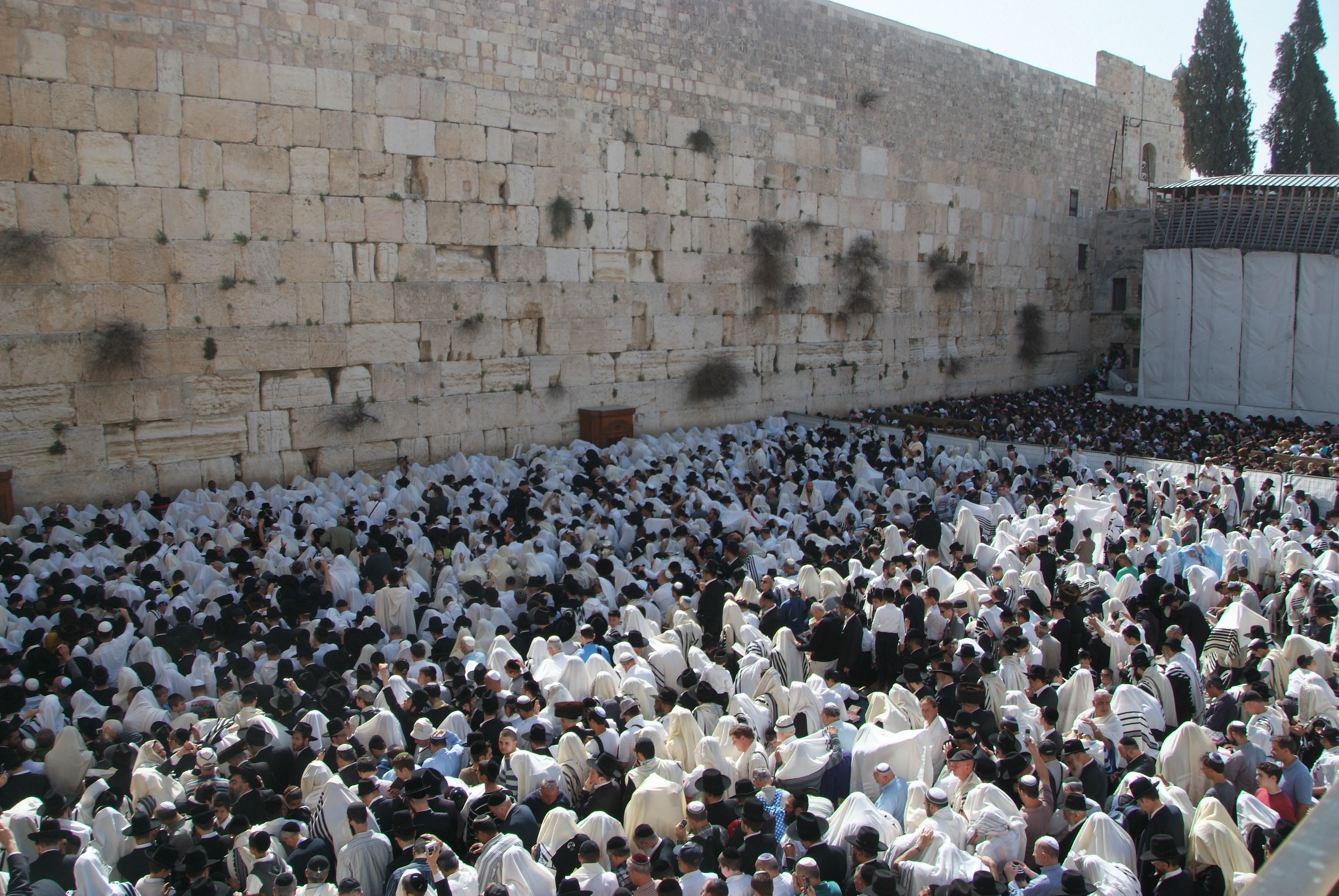 מחר בכותל המערבי: המונים בברכת הכוהנים המסורתית
