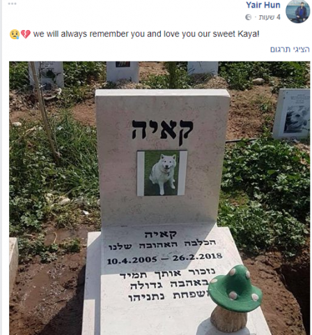מוגזם? משפחת נתניהו הקימה מצבה לכלבה קאיה