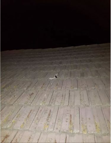 צה"ל תקף בעזה; קליעים פגעו בבית בשער הנגב