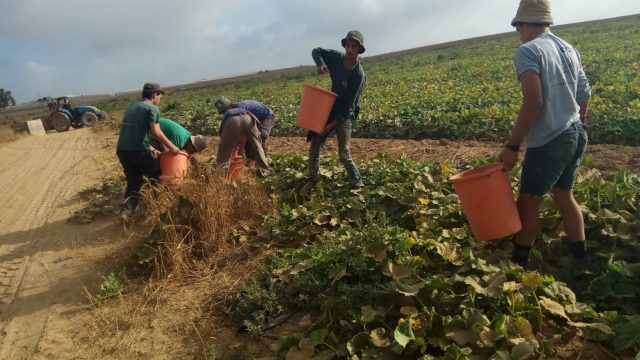 "כואב הלב לראות את כל השרוף מסביבנו"