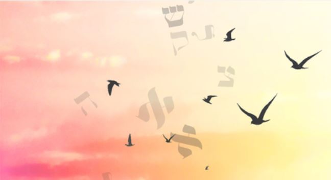 בטוחים שאנחנו יודעים הכל ואז מבינים שזה בידיים שלו