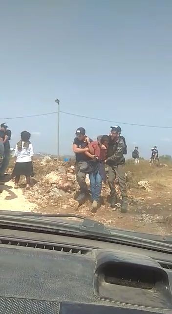 פינוי תפוח 7