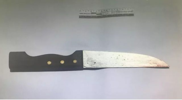 הסכין ששימשה את המחבל (קרדיט: דוברות משטרת ישראל)