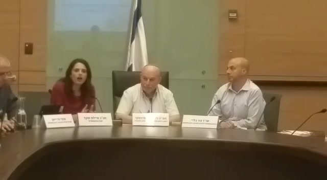שקד חוק הגיוס