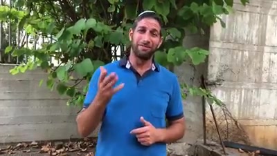 גורן ט באב
