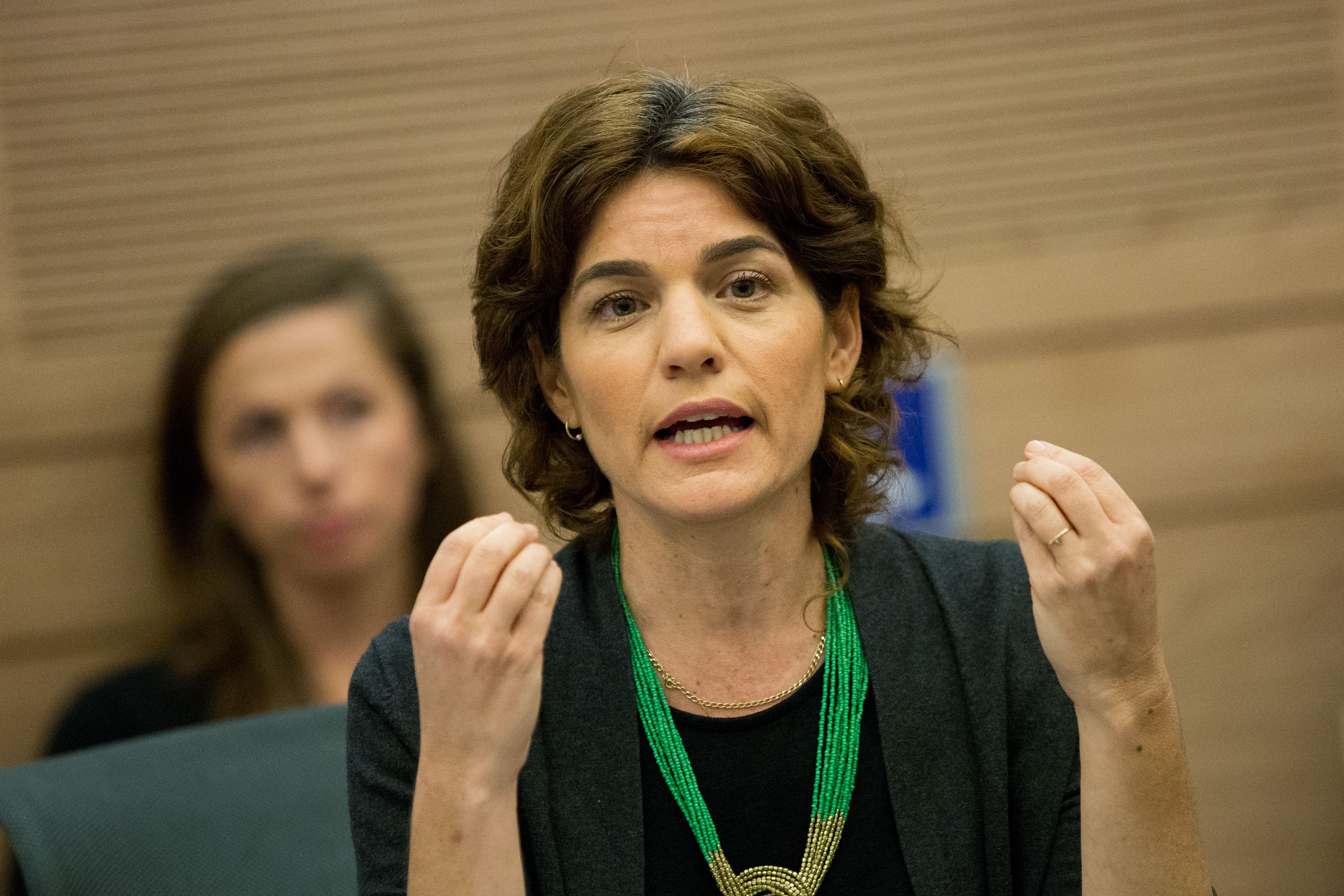 זנדברג: "לוודא שהקשר עם צ'אד לא נשען על סחר נשק"