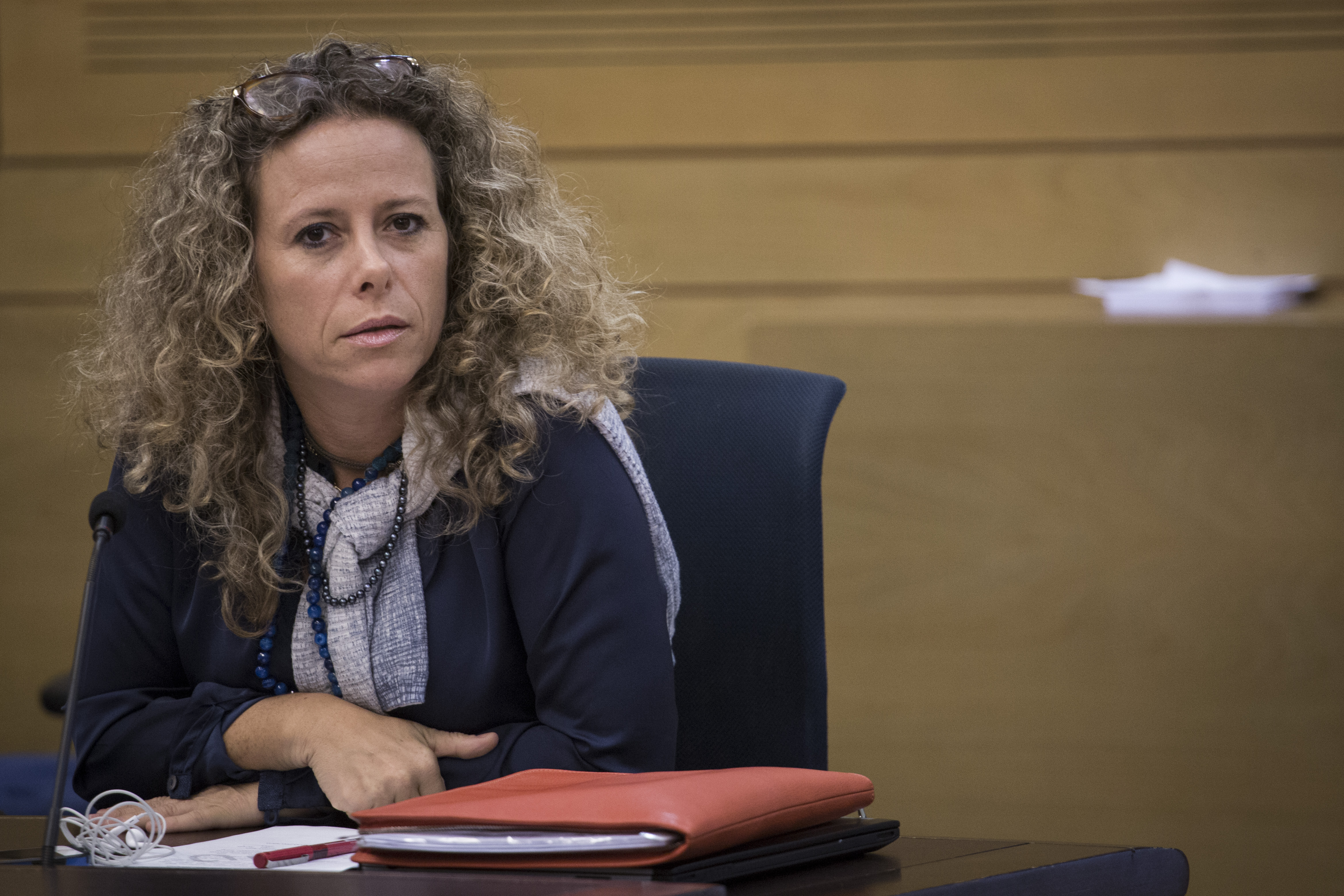 נחמיאס ורבין: "דרשתי התנצלות; ברושי פגע בי"