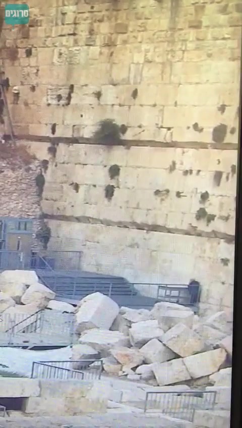 WhatsApp Video 2018-07-23 at 09.45.29