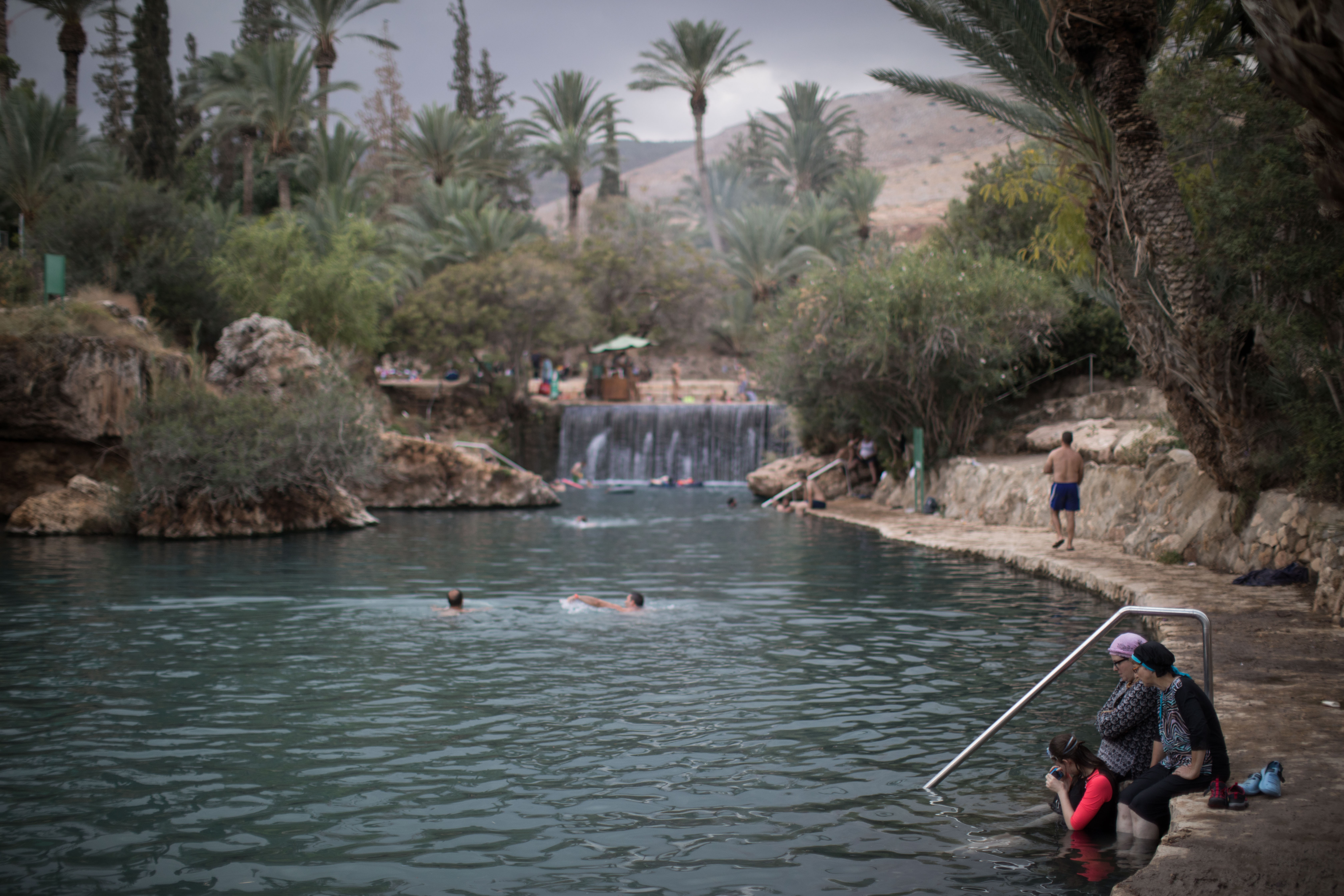 בהלת העכברת: זו הודעת הפייק ניוז שרצה ברשת