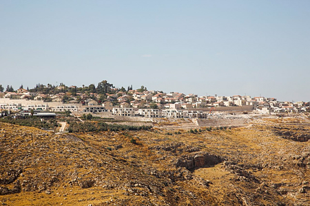 צעק "אללה וואכבר": ערבי תקף אזרחים בישוב תקוע ונוטרל